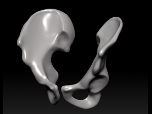 download of human hip bone Modèle 3D
