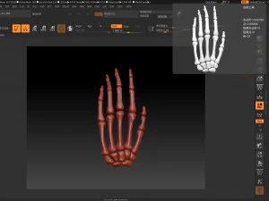the 3d printing and downloading of human bone structure 3D Model