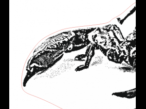 scorpio laser engraving vector drawings Modèle 3D