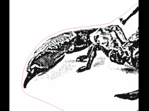 scorpio laser engraving vector drawings 3D Model
