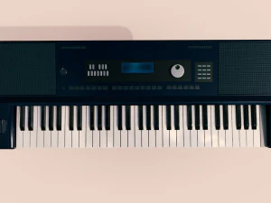 keyboard musical instruments full detail low poly and high poly 3D Model