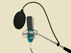 microphone musical instruments full detail low poly and high poly 3D Model