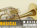 tenor horn instruments full detail low poly and high poly 3D Models