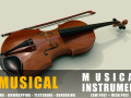 violin instruments full detail low poly and high poly 3D Models