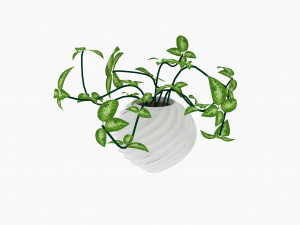 plants 3D Model