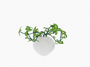plants Modello 3D