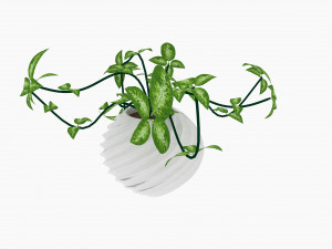 plants Modello 3D