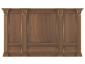 wall wood boiserie paneling 3D Model
