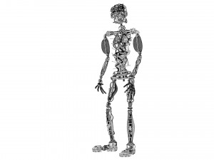 humanoid robot 3Dモデル