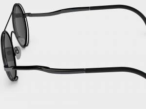 sunglass 3D Model