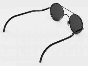 sunglass 3D Model