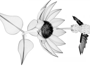 steampunk colibri 3D Model