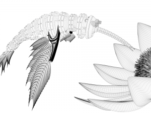 steampunk colibri Modelo 3D