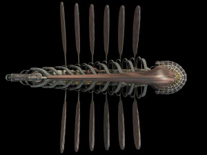 allpamanta 3D Model