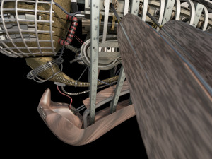allpamanta Modello 3D