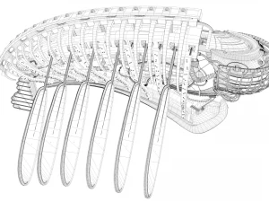 allpamanta 3D Model