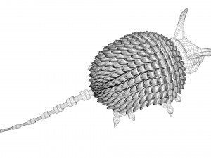 tatoo 3D Model