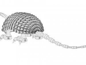 tatoo 3D Model