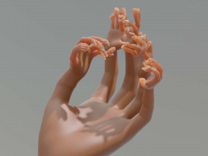 nested hands Modelo de impresión 3D
