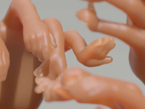 nested hands Modelo de impresión 3D