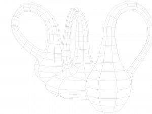 klein bottle 3D Модель