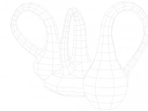 klein bottle 3D Model