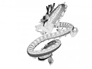 shenron from dragon ball 3D Model