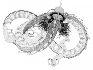 shenron from dragon ball 3D Model