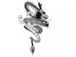 shenron from dragon ball 3D Model