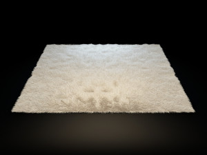 rugs - collection Modello 3D