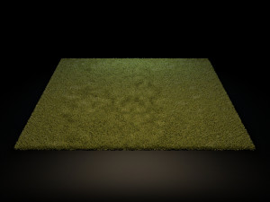 rugs - collection 3Dモデル