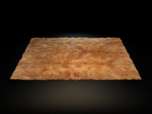 rugs - collection 3Dモデル