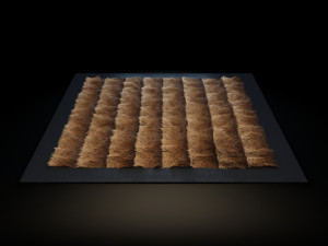 rugs - collection 3Dモデル