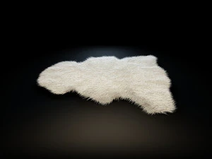 rugs - collection 3D Model