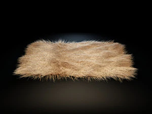 rugs - collection 3D Model