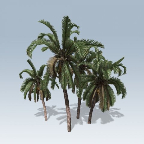 ue4-unity palm Modello 3D .c4d .max .obj .3ds .fbx .stl .blend 