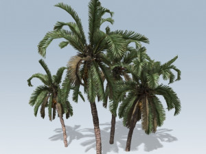 ue4-unity palm 3Dモデル