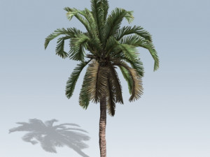 ue4-unity palm Modello 3D