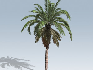 ue4-unity palm Modello 3D