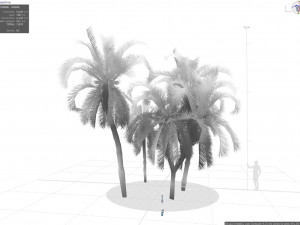 ue4-unity palm Modello 3D