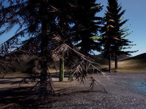 spruce tree pack - ue5 -4 3D Model