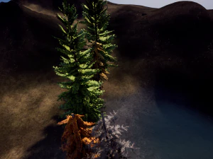 spruce tree pack - ue5 -4 3D Model