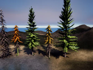 spruce tree pack - ue5 -4 3D Model