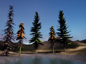 spruce tree pack - ue5 -4 3D Model