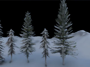 spruce tree pack - ue5 -4 3D Model