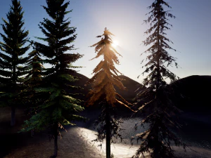 spruce tree pack - ue5 -4 3D Model