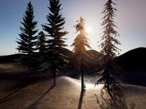 spruce tree pack - ue5 -4 3D Model