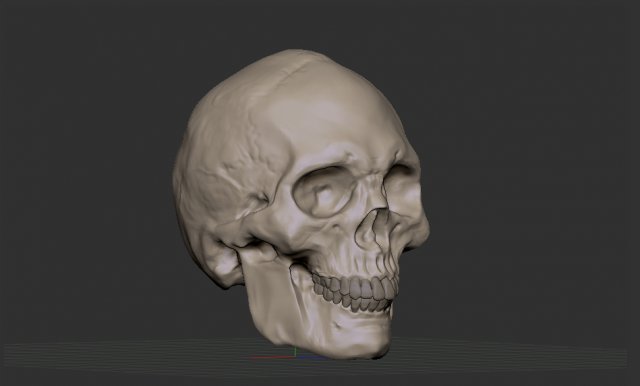 Skull 3D 模型 .c4d .max .obj .3ds .fbx .stl .blend 