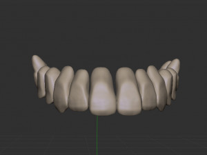 Skull 3D 模型