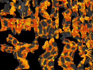 Lava golem Modelo 3D